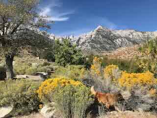 Below Mount Whitney